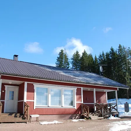 Niemenkaerki *