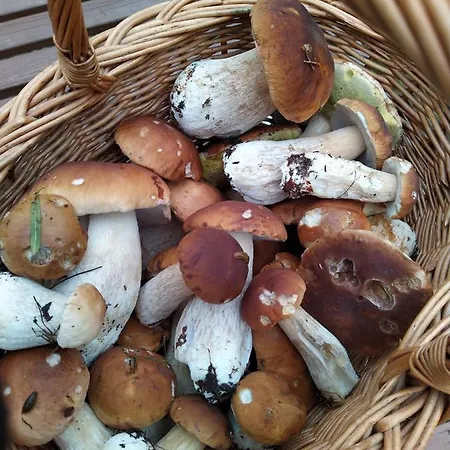 Casa vacanze Niemenkaerki From Offerhut 23 *