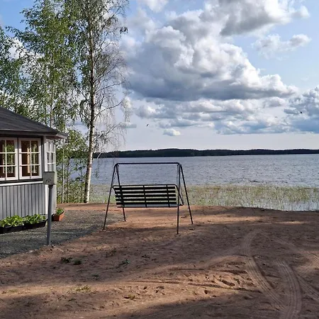 Niemenkaerki