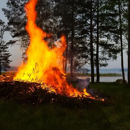 Niemenkaerki * Kouvola