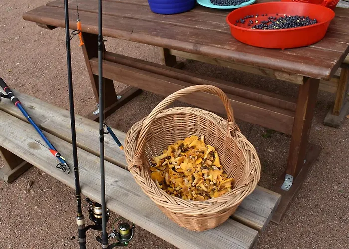 度假居 Niemenkaerki From Offerhut 23